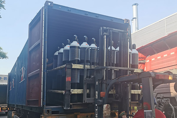 Oxygen cylinder delivery (2)